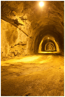 防爆柴油机履带运输车