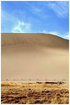 防爆柴油机履带运输车