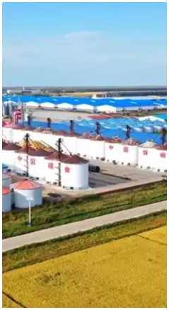 GLD煤矿用称重给煤机