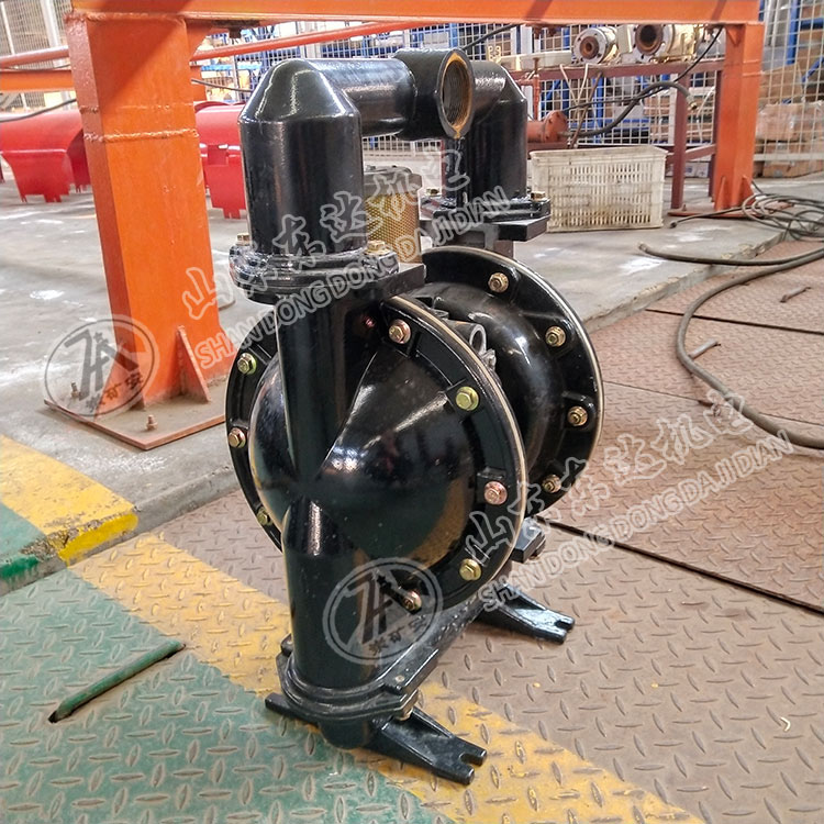 BQG100/0.4气动隔膜泵