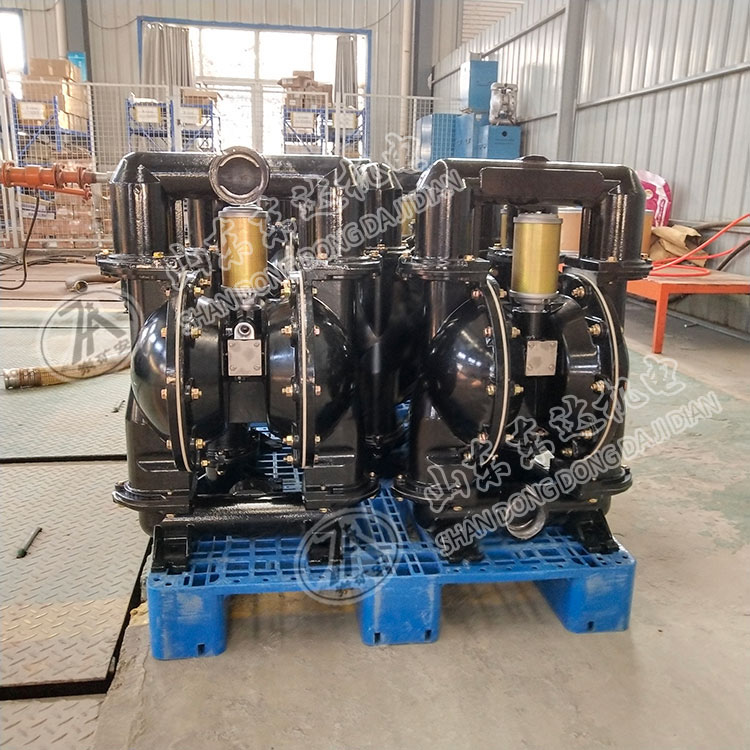 BQG150/0.2气动隔膜泵