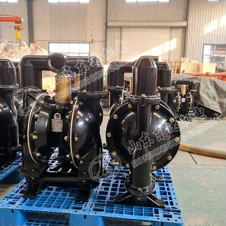 BQG250/0.3气动隔膜泵