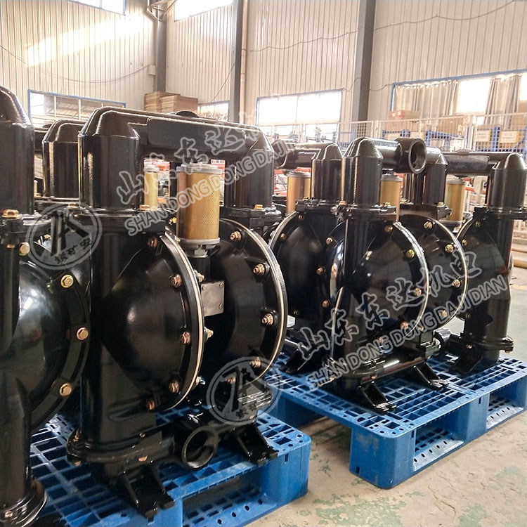 BQG350/0.2气动隔膜泵