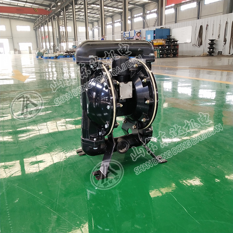 BQG450/0.2气动隔膜泵